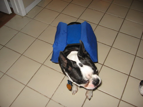 tanno pack