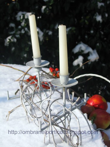Giardino d'inverno
