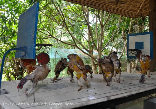 Daks and Gams Wildlife Park