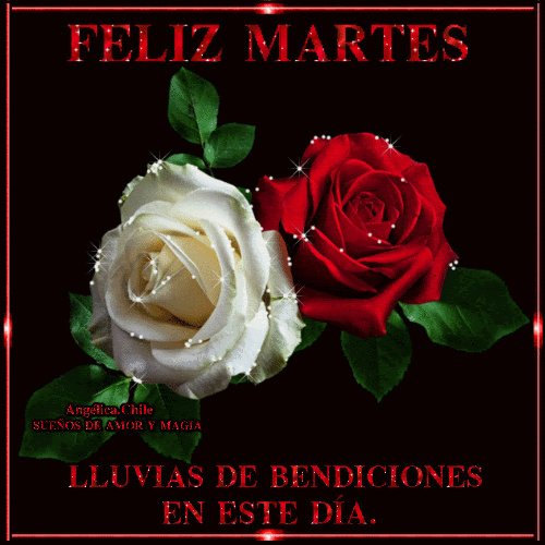 Sueños de Amor Y Magia Feliz Martes