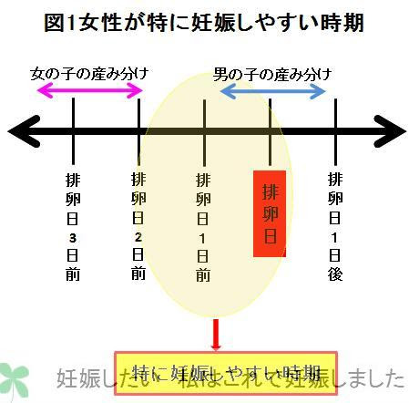 日前 妊娠 排卵 した 3 日