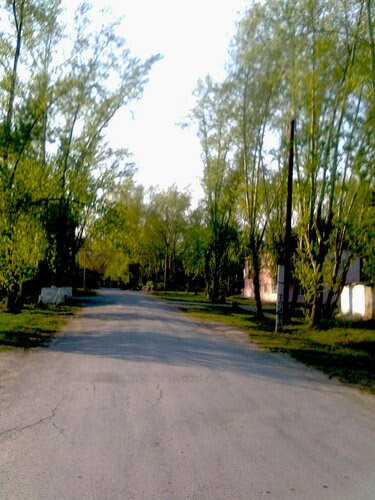 В нашей деревне скоро лето В нашей деревне скоро лето