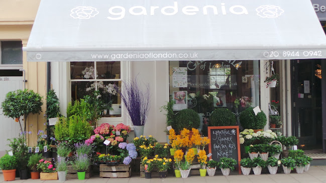 Gardenia of London