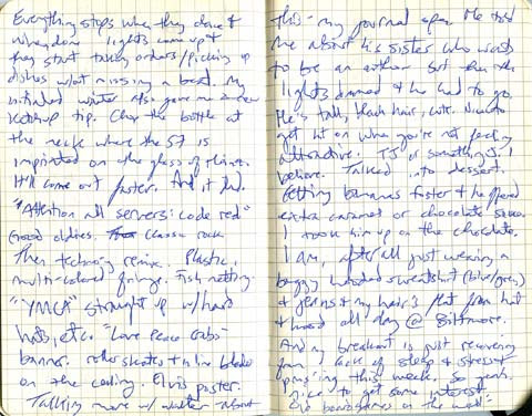 Moleskine 4a