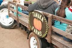 Tanaka Farms Strawberry Tour