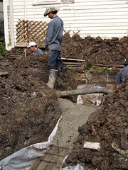PA309928.JPG