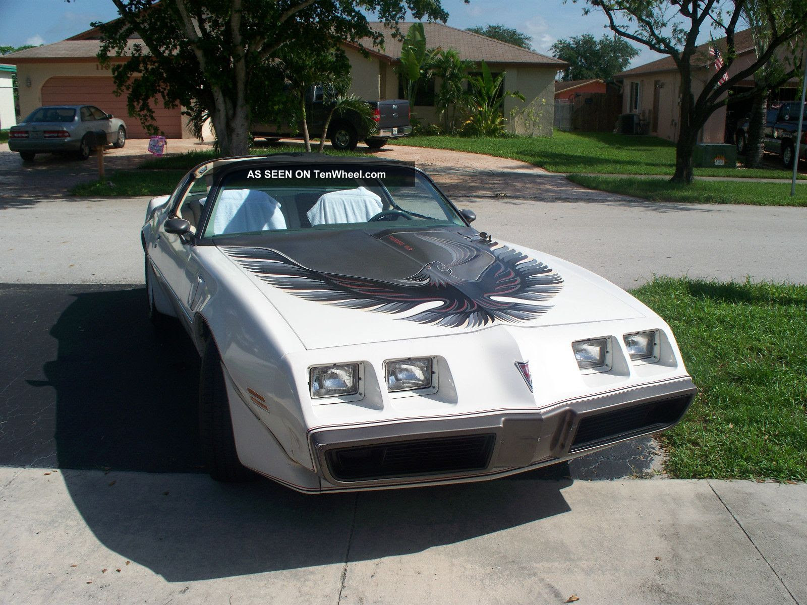 Wiring Diagram 1980 Pontiac Firebird - Complete Wiring Schemas