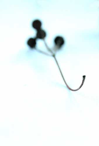 stem