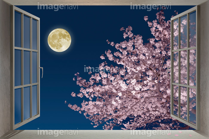 窓と夜桜と月 の画像素材 Cg素材ならイメージナビ
