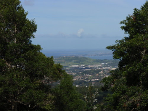 Mt Keira 2