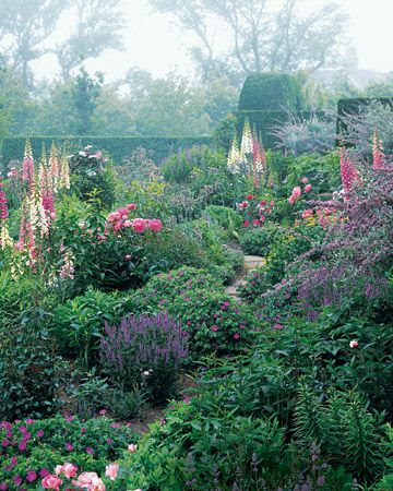 A Nantucket garden. The foxgloves "make" it!   // Great Gardens & Ideas //