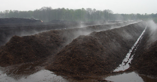 Steaming Compost Heaps at East Bay Facility