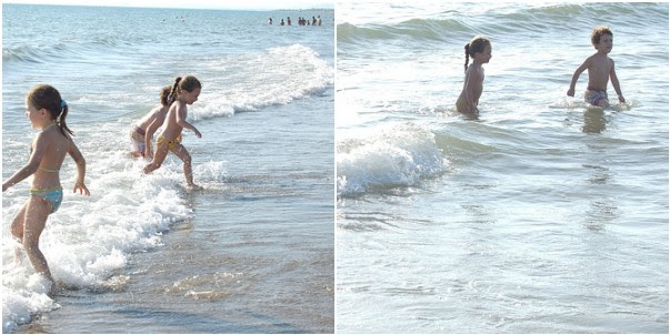 mare