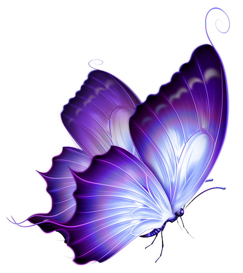 butterfly: Butterfly Emoji Png