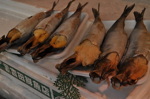 fish
