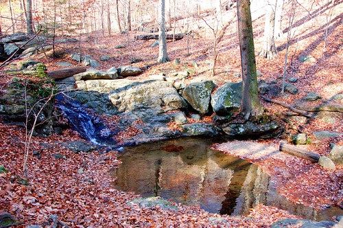 Patapsco State Park