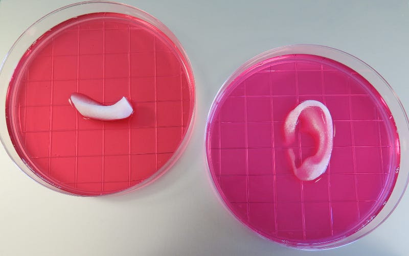 Scientists Just 3D Printed a Transplantable Human Ear