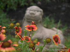 P1170439