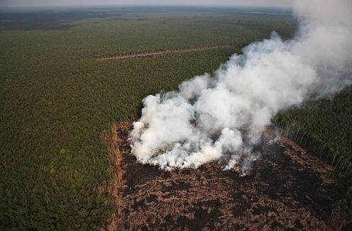 Photo: Greenpeace. Smoke from man made forest fires in the RAPP concession in Giam Siak Kecil area to clear land for palm oil plantations.