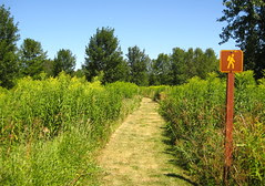 Parc de Boucherville, path on île de la commune Parc de Boucherville, path on île de la commune