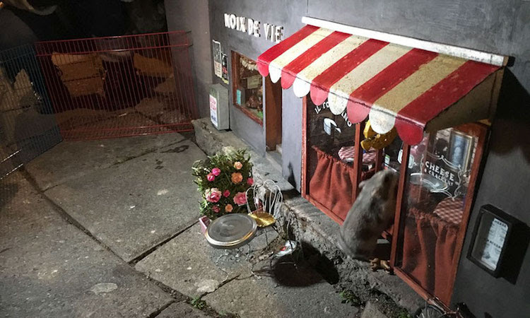 anonymouse boutiques de souris minuscule sweden