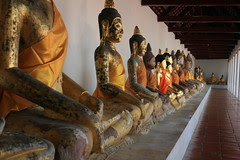 Buddha row