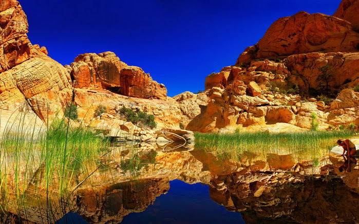 1364909848_computerdesktopwallpaperscollection621_00012 (700x437, 170Kb)