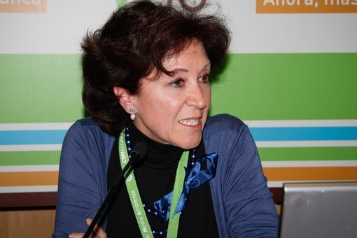 La Directora General de Sostenibilidad y Planificación de la Movilidad, doña Elisa Barahona Nieto