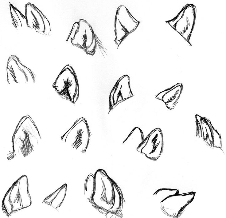 How To Draw Anime Ears