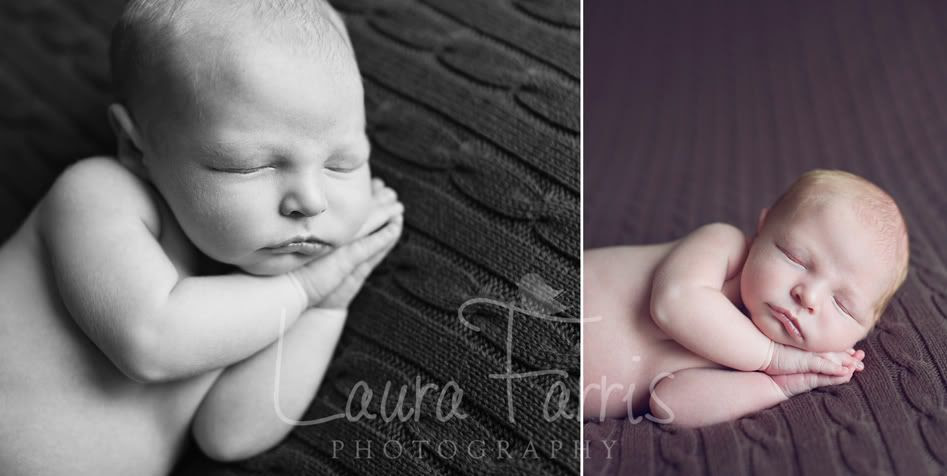 Boise newborn photographers