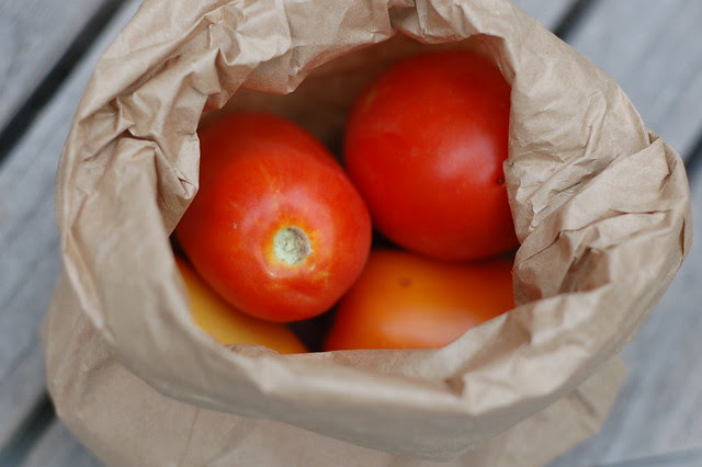 First tomatoes of the season by Eve Fox, copyright 2009