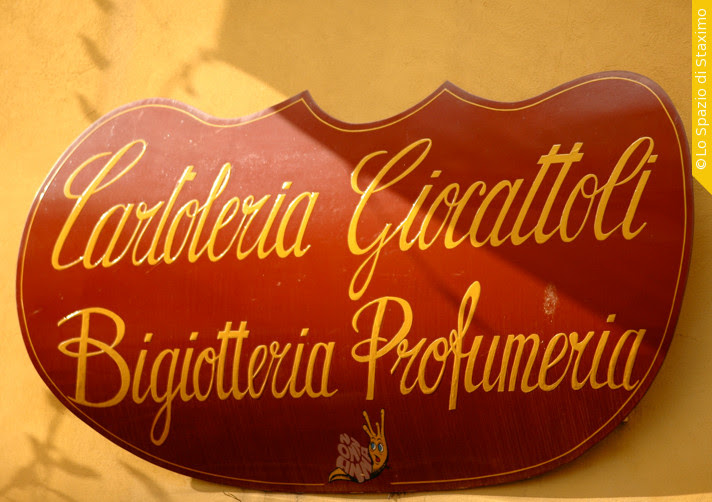 savigno insegna