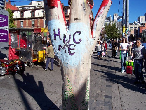 Hug me tree, Queen Street West