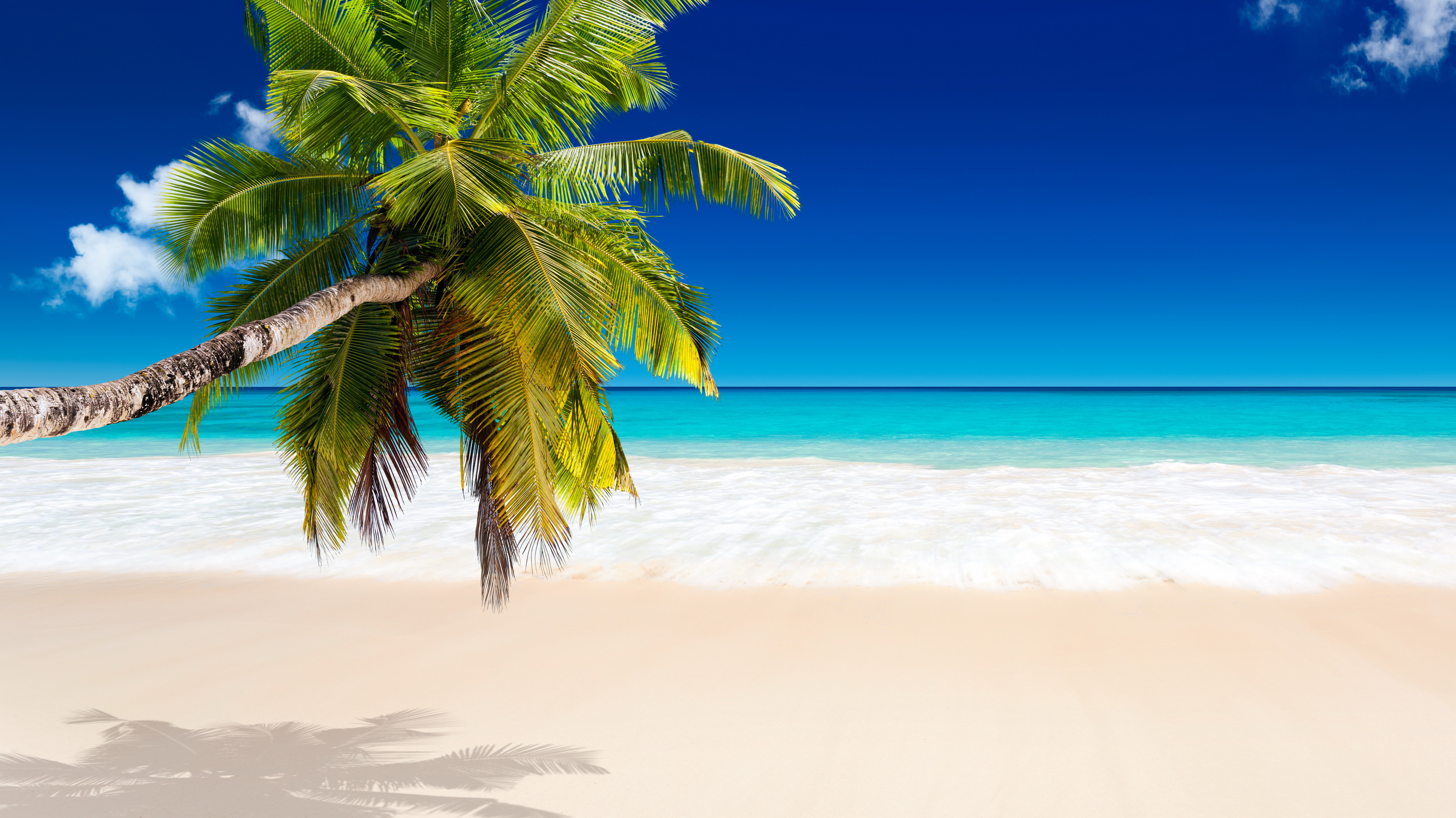Tropical Beach Wallpapers, Pictures, Images