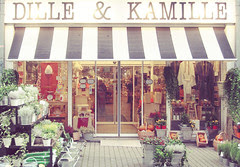 Dille & Kamille