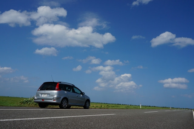 20150404 (42)