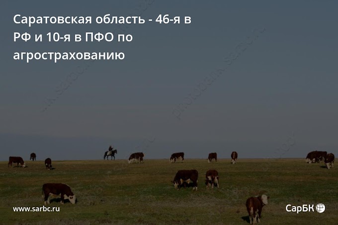 Саратовская область - 46-я в РФ и 10-я в ПФО по агрострахованию