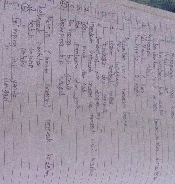Kunci Jawaban Ipa Kelas 7 Halaman 143 Guru Galeri