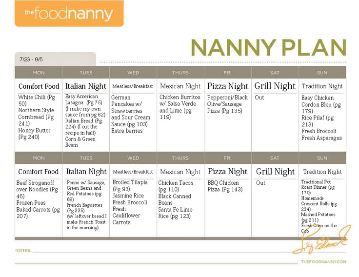 Nanny Daily Log Template from lh4.googleusercontent.com