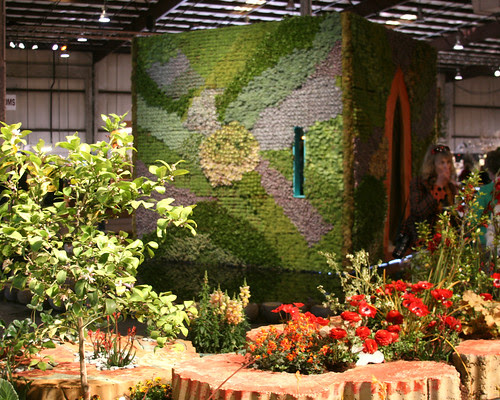cube_backdrop2