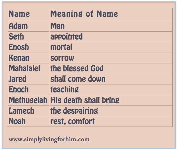 14 SPIRITUAL MEANING OF THE NAME NOAH, THE NAME SPIRITUAL ...