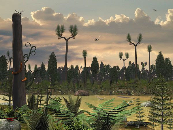 carboniferous - Google Search