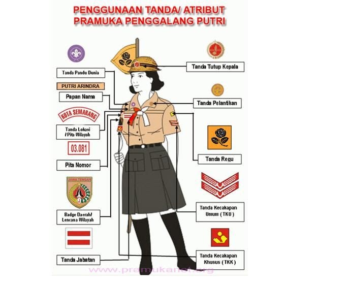 Atribut Pramuka Penggalang Putri Berjilbab Jawaban Soal