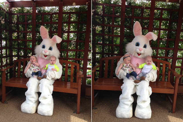 easter bunny