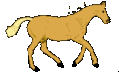 cheval014