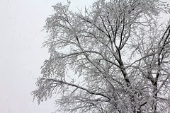 First Snow of 2010 Winter Season