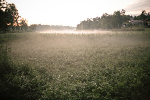 midsummer 2010
