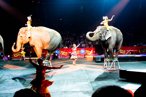 Circus-17