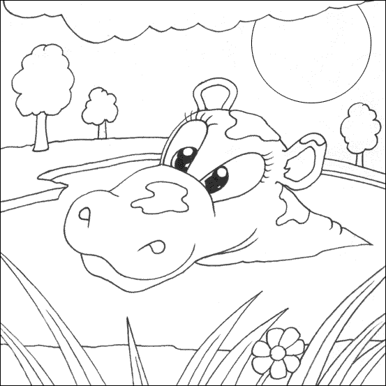 rainforest animal coloring pages