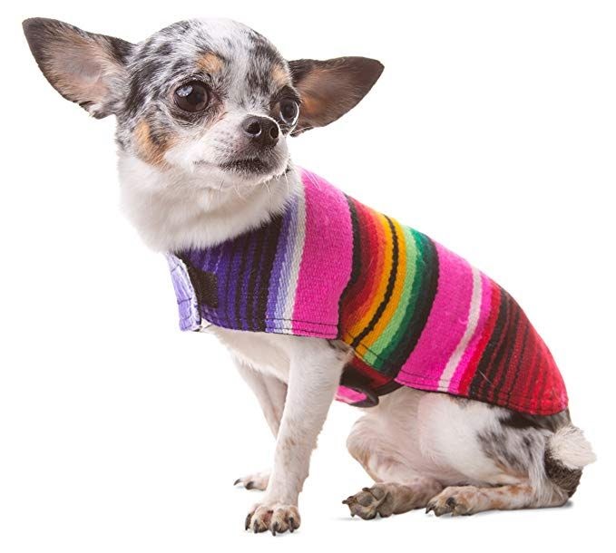 Zunea Small Dog Coat Winter Warm Shirt Striped Puppy Sweater Clothes Soft Cotton Padded Doggy Chihuahua Sweatshirt Apparel Pet Cat Clothing for Cold Weather